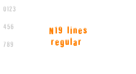 N19 Lines Regular