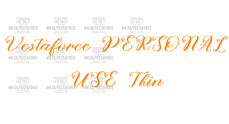 Vestaforce PERSONAL USE Thin