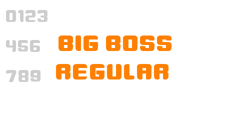 Big Boss Regular