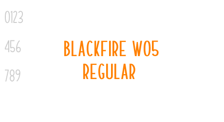 Blackfire W05 Regular