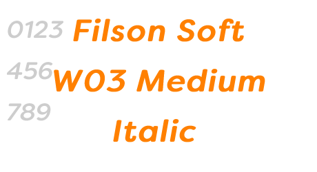 Filson Soft W03 Medium Italic