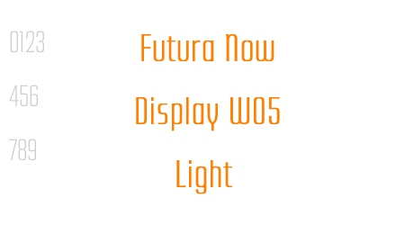 Futura Now Display W05 Light