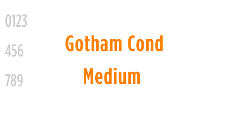 Gotham Cond Medium