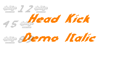 Head Kick Demo Italic