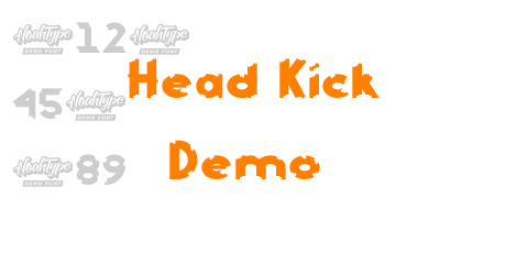 Head Kick Demo