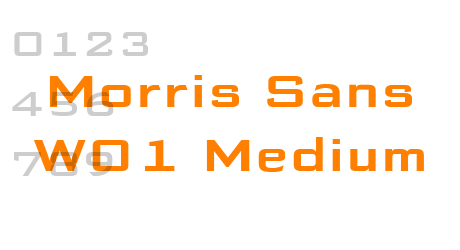 Morris Sans W01 Medium