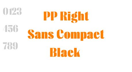 PP Right Sans Compact Black