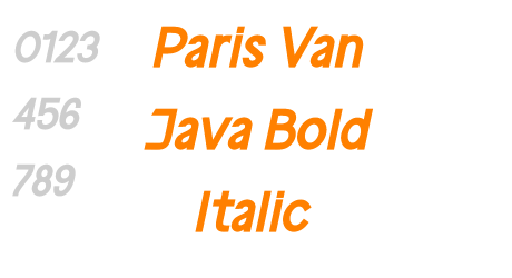 Paris Van Java Bold Italic
