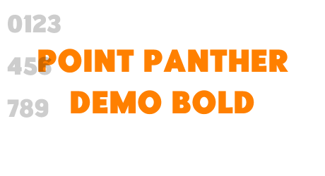 Point Panther DEMO Bold