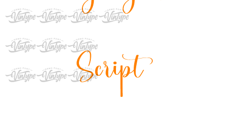 Smalljelly Demo Script