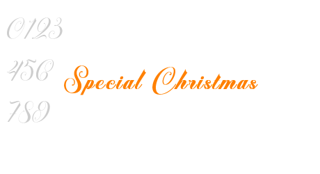 Special Christmas