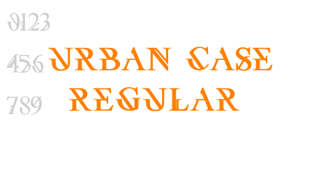 Urban Case Regular