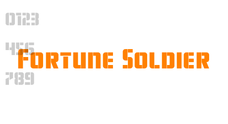 Fortune Soldier