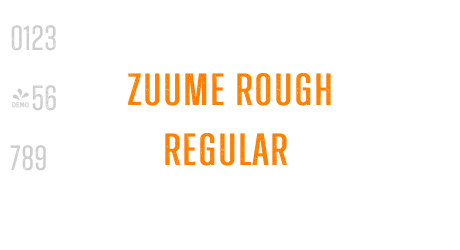 Zuume Rough Regular