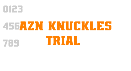 AZN Knuckles Trial