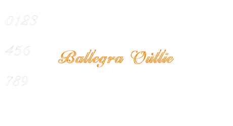 Ballegra Outlie