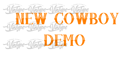 New Cowboy Demo