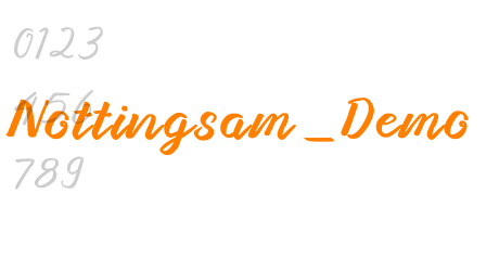 Nottingsam_Demo