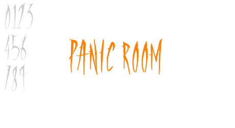 Panic Room