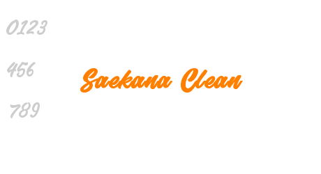 Saekana Clean