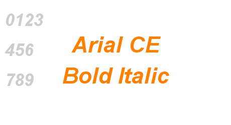 Arial CE Bold Italic