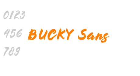 BUCKY Sans