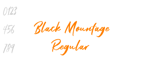 Black Mountage Regular