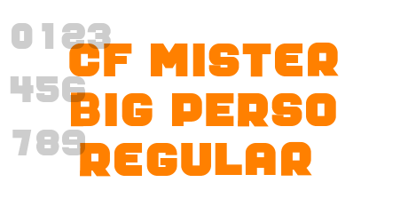 CF Mister Big PERSO Regular