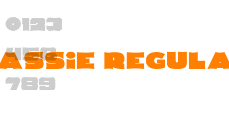 Dassie Regular