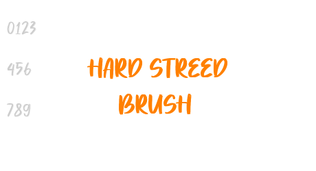 Hard Streed Brush