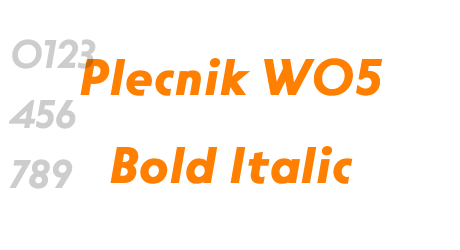 Plecnik W05 Bold Italic