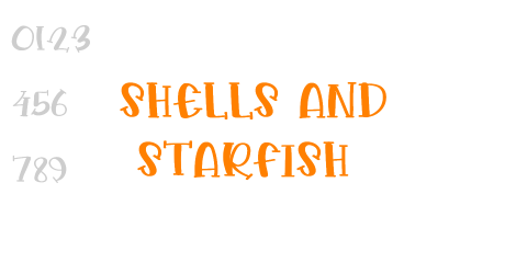 Shells And Starfish
