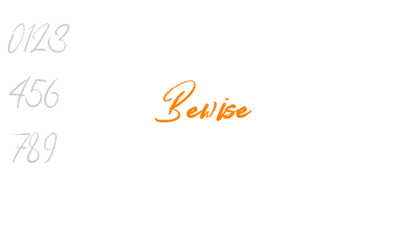 Bewise
