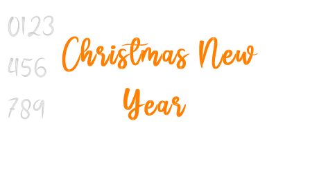 Christmas New Year