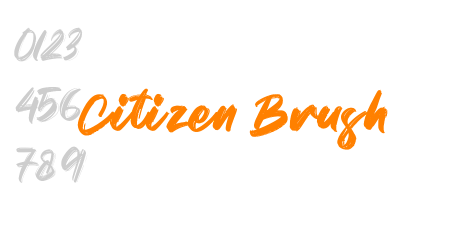 Citizen Brush