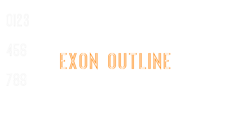 Exon outline