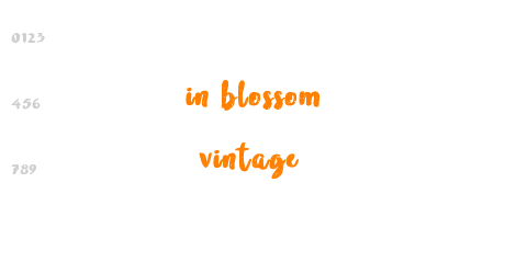 in blossom vintage