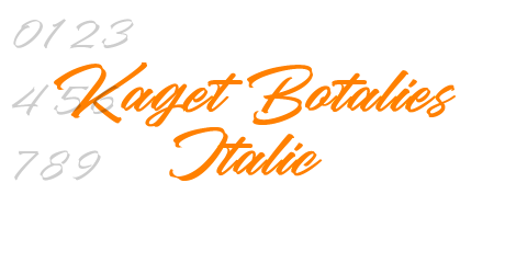Kaget Botalies Italic