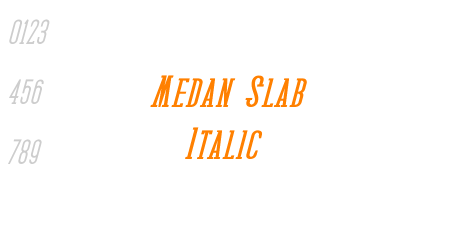 Medan Slab Italic