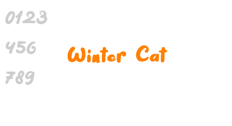 Winter Cat