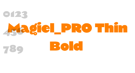 Magiel_PRO Thin Bold