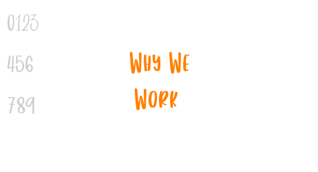 Why We Work