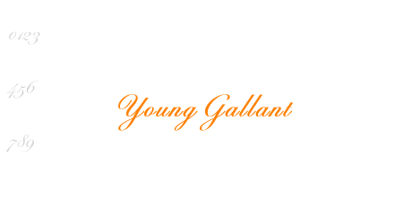 Young Gallant