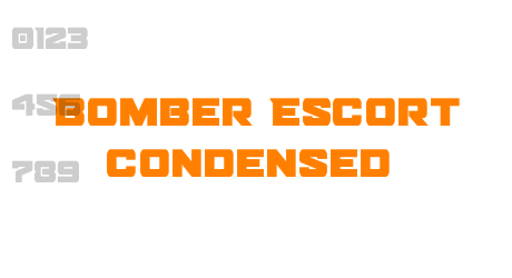 Bomber Escort Condensed