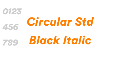 Circular Std Black Italic
