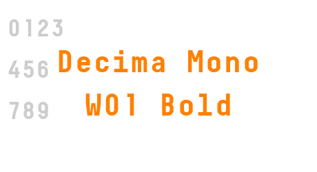 Decima Mono W01 Bold