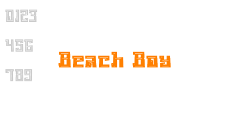 Beach Boy