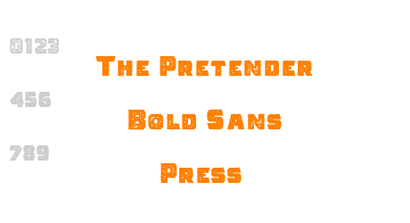 The Pretender Bold Sans Press