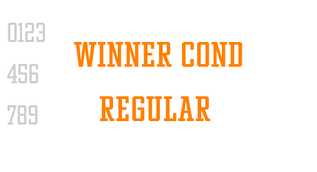 Winner Cond Regular