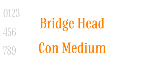 Bridge Head Con Medium